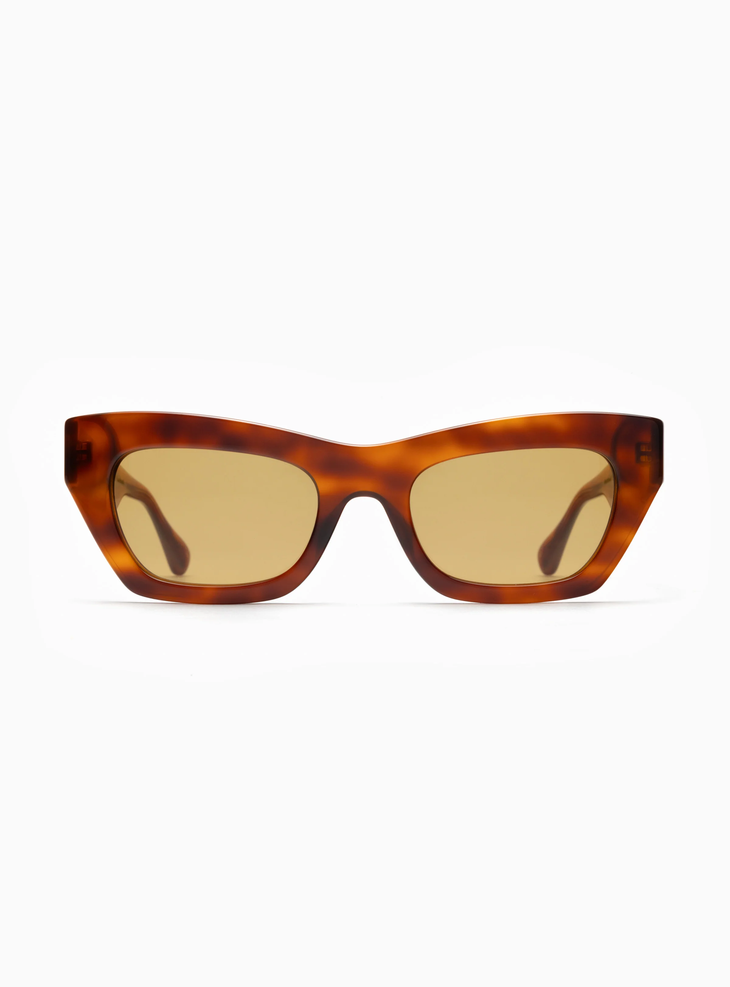 CLAIRE ROSE 01 - Image 8